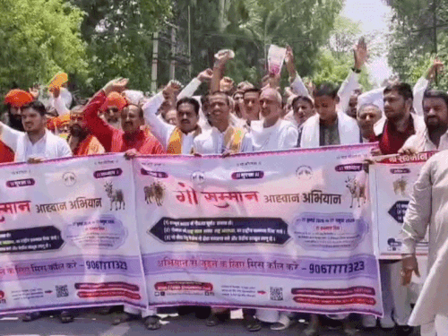श्रीगंगानगर में गाय को राष्ट्रमाता घोषित करने की मांग:गौभक्तों का कलेक्ट्रेट पर जोरदार विरोध-प्रदर्शन, शहर में निकली आक्रोश रैली