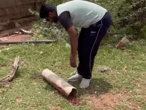 खेत में पाइप उठाते ही सामने आया काला नाग:बारिश के मौसम में सूखी व छिपी हुई जगहों पर रहते हैं जहरीले जीव, जानें बचाव और सावधानियां