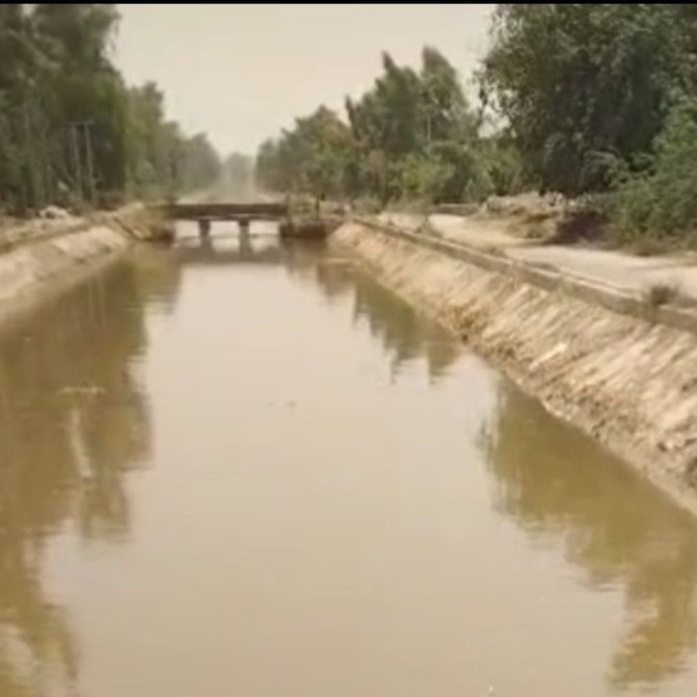 हनुमानगढ़ में नहरों में पानी की कटौती:कमजोर मानसून ने बढ़ाई किसानों की चिंता, फसलों की बुवाई हो रही प्रभावित