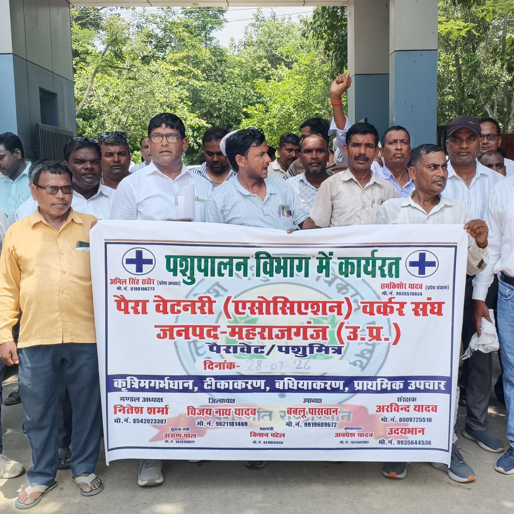 महराजगंज में पैरावेट वर्कर संघ ने सीएमओ को सौंपा ज्ञापन:नियमित मानदेय समेत छह प्रमुख मांगों के समाधान की मांग