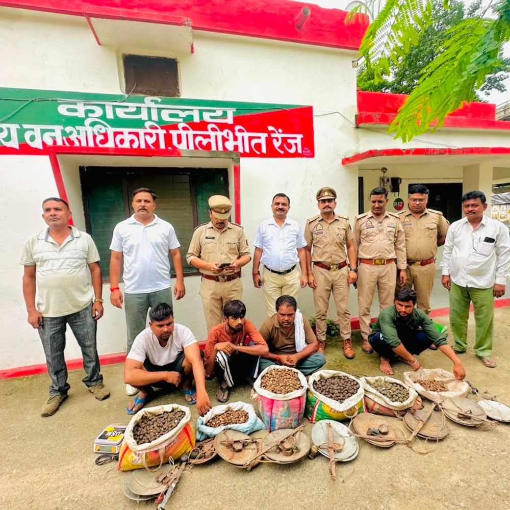 पीलीभीत में रेलवे स्टेशन चौराहे पर वन विभाग की छापेमारी:4 तस्कर गिरफ्तार, प्रतिबंधित कटरूआ की अवैध बिक्री का भंडाफोड़