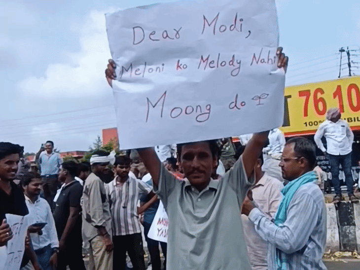 
                 किसान आंदोलन की फनी रील:पोस्टर में किसान ने लिखा- डियर मोदी, मेलोनी को मेलोडी नहीं, मूंग दो 
            