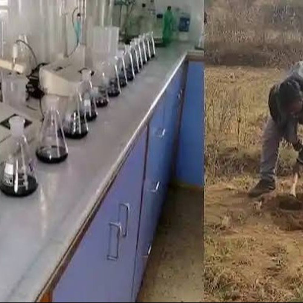 
                 मिट्टी और बीज परीक्षण अब लोक सेवा गारंटी से बाहर:2017 से लागू व्यवस्था खत्म, समय सीमा में सेवा नहीं मिलने पर अपील का अधिकार भी नहीं रहेगा 
            