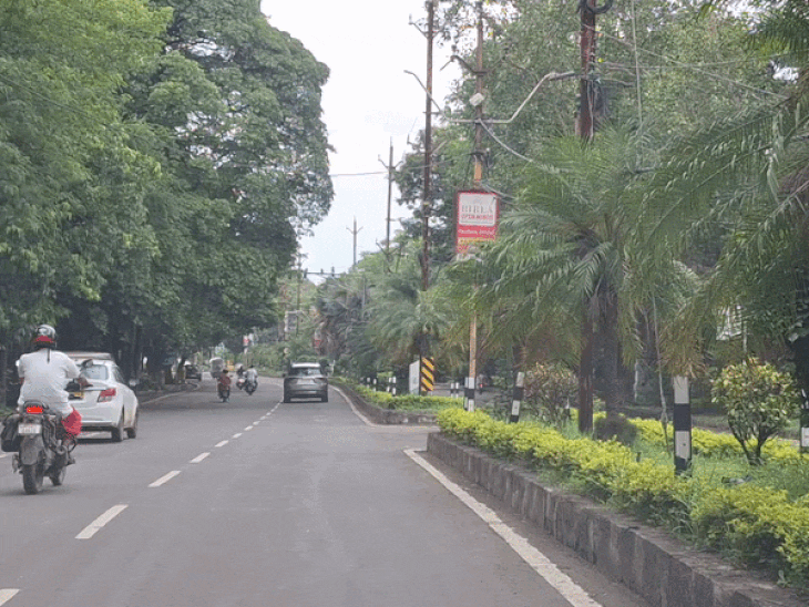 
                 हाईवे पर ग्रीन कवर में एमपी देश में सबसे आगे:5 साल में नेशनल हाईवे पर लगाए 39 लाख पौधे, 
            