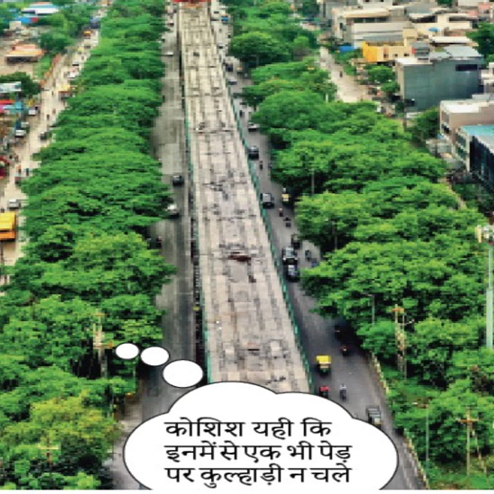 
                 ये हरियाली बस कुछ दिनों की:जाम से राहत दिलाने के लिए दोनों ओर 4-4 लेन फ्लायओवर बनेगा 
            