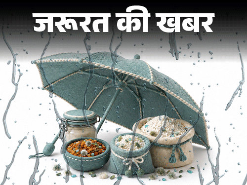 
                 जरूरत की खबर- बारिश में जल्दी खराब होते आटा-चावल, दाल:बढ़ता बैक्टीरिया-फंगस का रिस्क, एक्सपर्ट से जानें मानसून फूड स्टोरेज टिप्स 
            