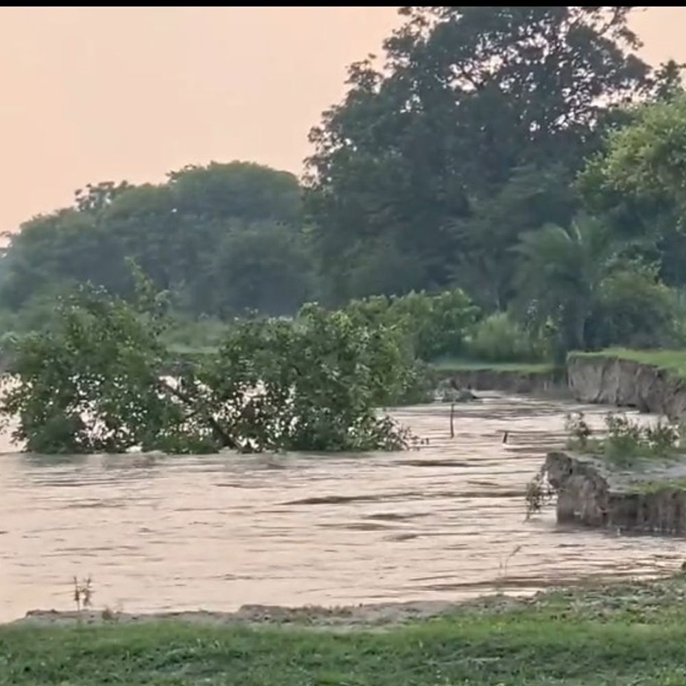 बस्ती में फिर चढ़ने लगी सरयू:कटान तेज, गांवों पर मंडराने लगा खतरा; किसानों को चारे की चिंता सताने लगी