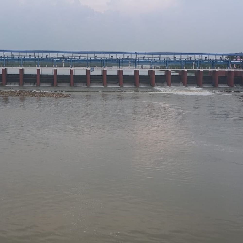 सिद्धार्थनगर में फिर मेहरबान हुआ मानसून:नौगढ़ में सबसे ज्यादा 45 मिमी बारिश; खेतों में लौटी नमी, अगले 3-4 दिन और बारिश संकेत