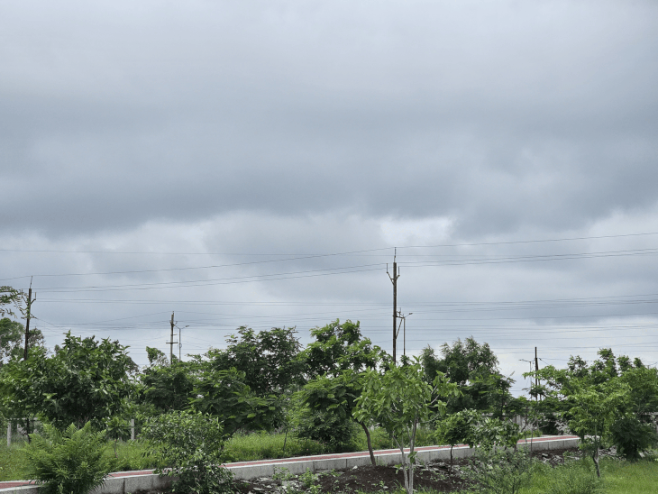 
                 मंदसौर में लगातार बारिश, खरीफ फसलों को मिली संजीवनी:15.48 इंच वर्षा दर्ज, अगले दो दिन गरज-चमक के साथ बारिश का अनुमान 
            
