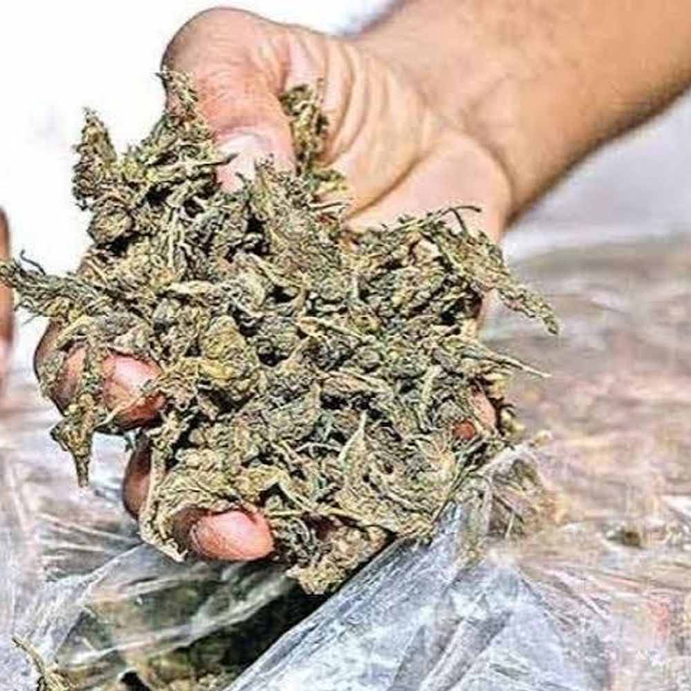 शहीद स्मारक पार्किंग में गांजा लेकर खड़ा था युवक:कोर्ट ने 5 साल की सजा सुनाई, 3 किलो से अधिक गांजा हुआ था जब्त