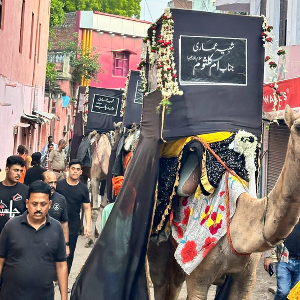 इमाम हुसैन का चेहलुम आज, गूंजेगी सदाएं या हुसैन:अलम-ताजिये की जियारत को उमड़ेंगे जायरीन, कर्बला में शहीद हुए थे 72 लोग
