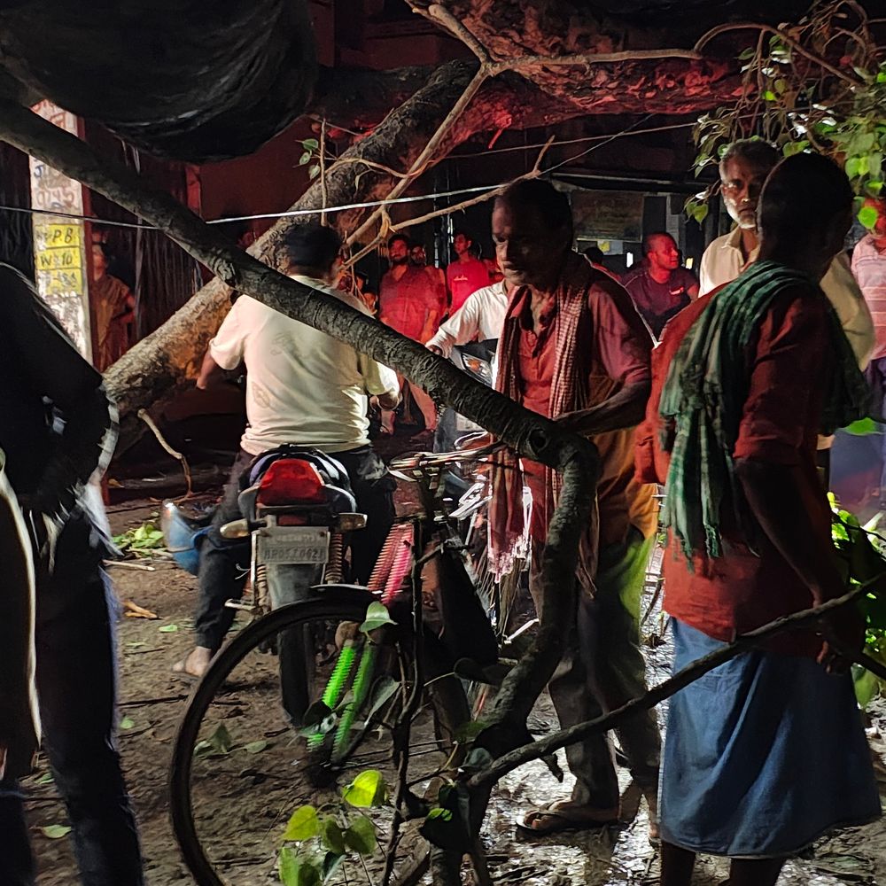 भारत-नेपाल मुख्य मार्ग पर विशाल पेड़ गिरा:आवागमन ठप, रातभर रास्ता खोलने में जुटा प्रशासन