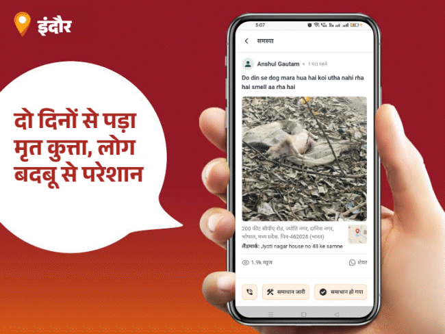 
                 'भास्कर समाधान' का असर...अंधेरे से मिली राहत:वार्ड-81 की पार्षद बबीता डोंगरे बनीं आज की 'पब्लिक स्टार'; आपकी शिकायत भी पहुंच सकती है जिम्मेदारों तक 
            