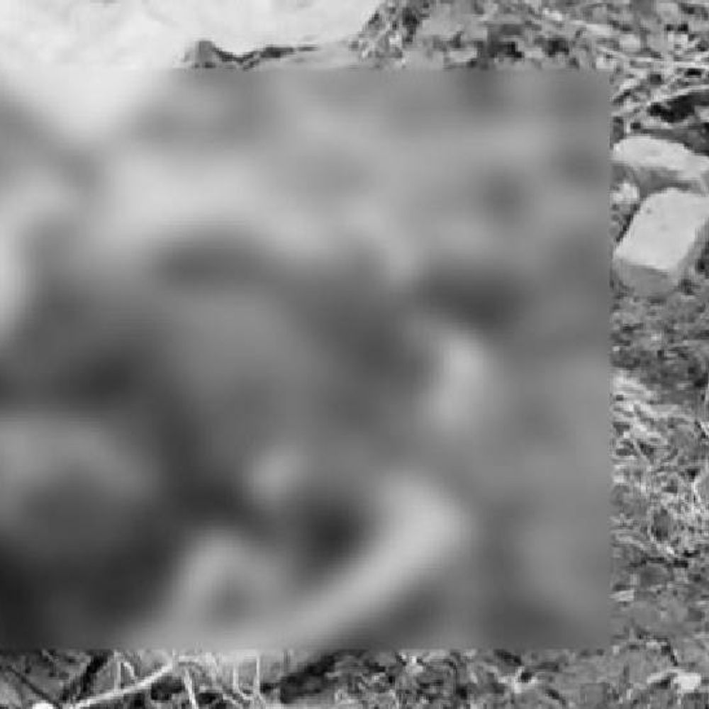 कचरे में दो टुकड़ों में मिला महिला का शव:छतरपुर में शराब पीकर गाली देने पर पड़ोसी ने हत्या की, कुल्हाड़ी से काटकर फेंका; गिरफ्तार