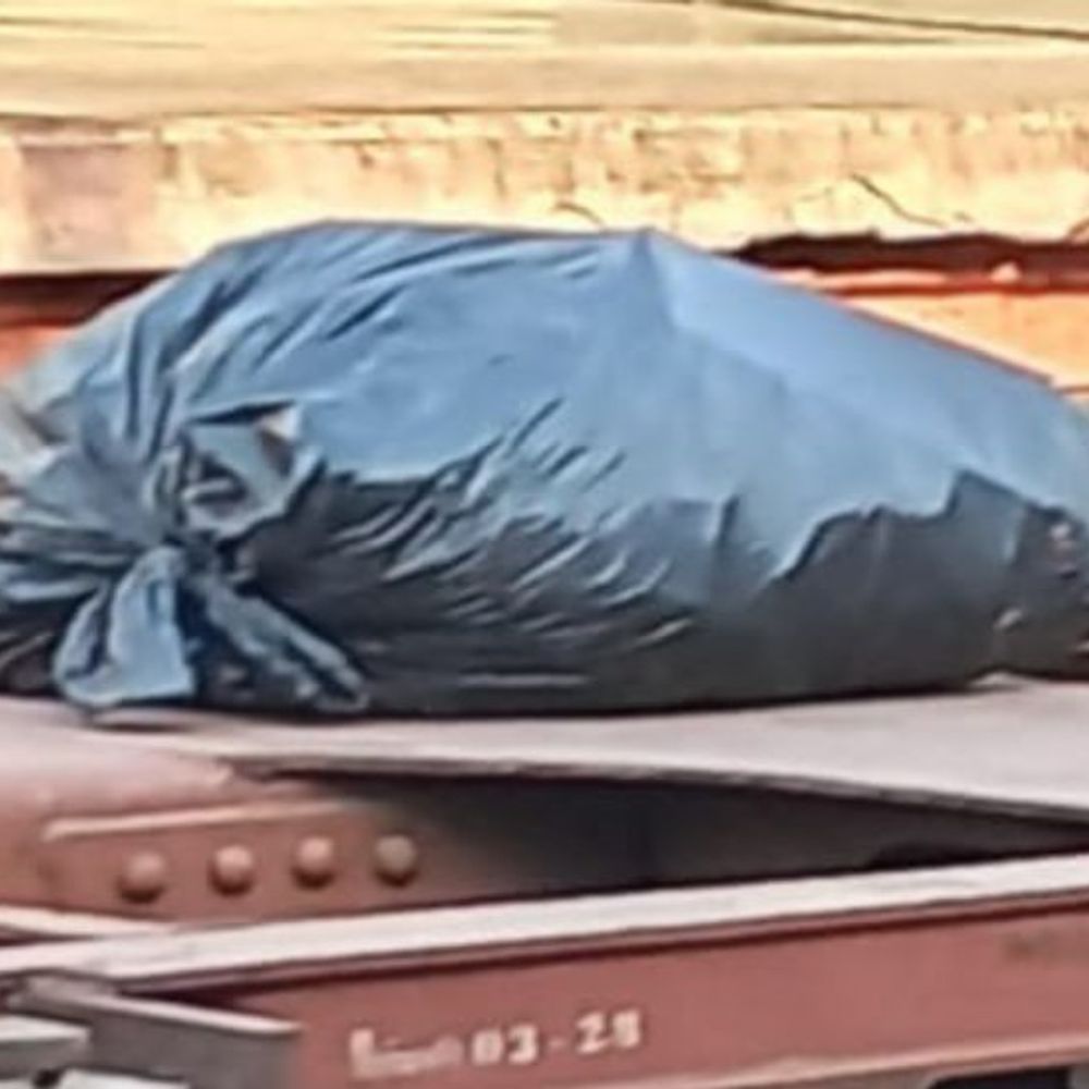 
                 आरकेएमपी की गंदगी पर एनजीटी सख्त:सिर्फ सफाई नहीं, कचरे का पूरा रिकॉर्ड और निपटान का हिसाब देना होगा; दो महीने में रिपोर्ट मांगी 
            