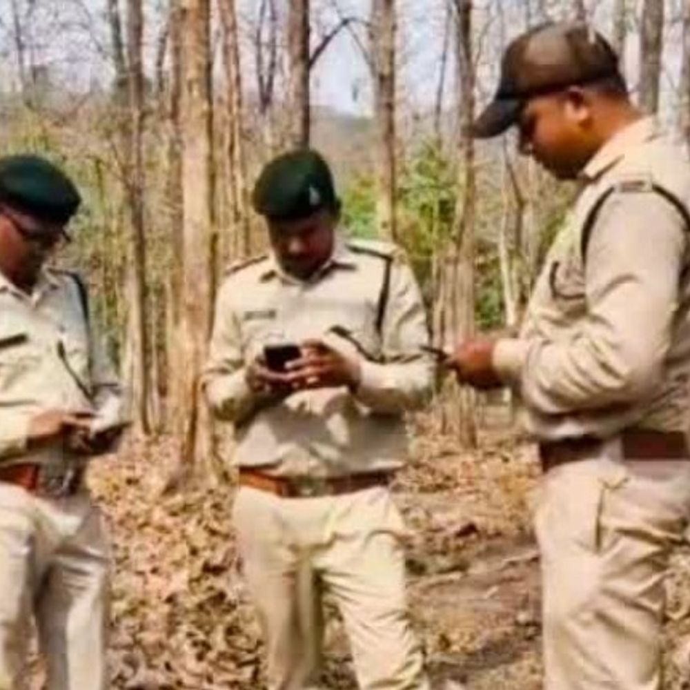 
                 एमपी में अब वनकर्मियों पर सीधे नहीं होगी FIR:अधिसूचना जारी- जंगल की सुरक्षा में चली गोली तो पहले न्यायिक जांच होगी 
            