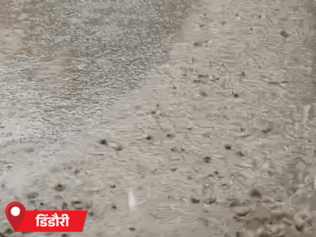 
                 MP के ऊपर मानसून टर्फ, 3 जिलों में भारी बारिश:दतिया, रीवा-सीधी में हैवी रेन का अलर्ट; भोपाल, इंदौर-उज्जैन में बूंदाबांदी 
            