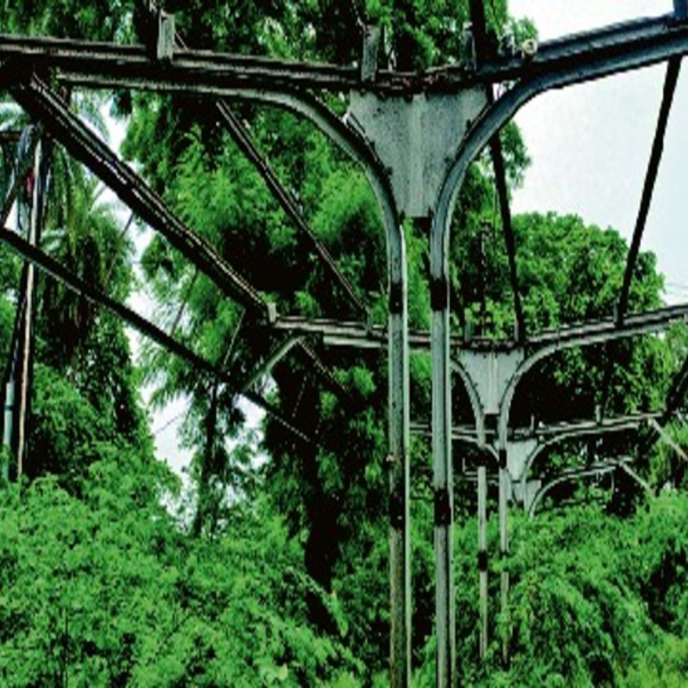 ये नैरोगेज का स्टेशन...:ट्रैक-प्लेटफॉर्म झाड़ियों में, छत गायब