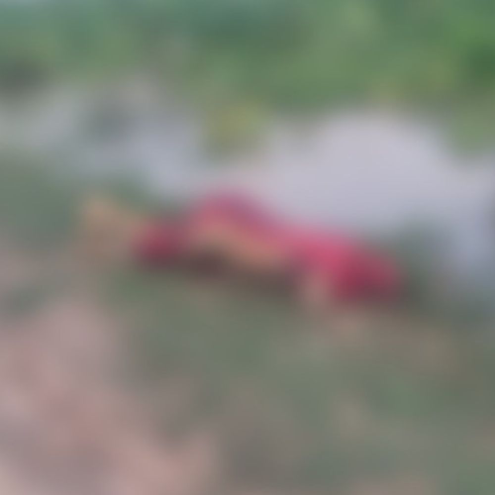 बलिया में गंगा किनारे मिला महिला का शव:पैर को जंगली जानवरों ने नोचा, पहचान करवाने में जुटी पुलिस
