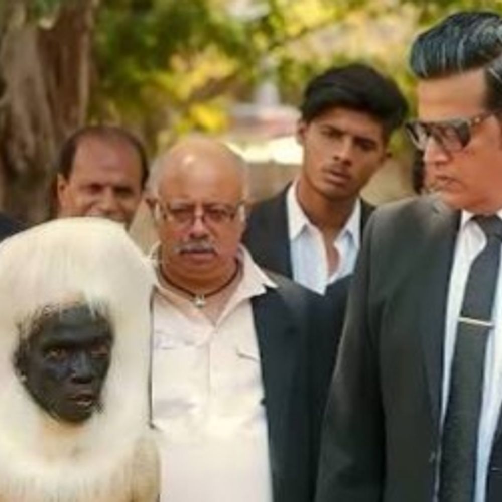 बैडमिंटन वर्ल्ड कप- लंगूर के वेश में तैनात होंगे वोलेंटियर:बंदरों को भगाने का काम करेंगे, विदेशी मीडिया तक पहुंची खबर