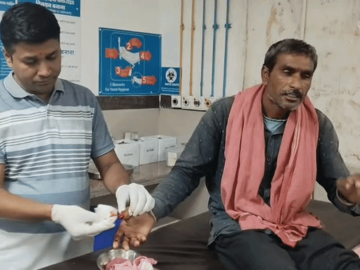 
                 उज्जैन में कुत्तों के हमले में दो लोग घायल:एक का अंगूठा चबाया, दूसरे को घर में घुसकर काटा; अस्पताल में भर्ती करना पड़ा 
            