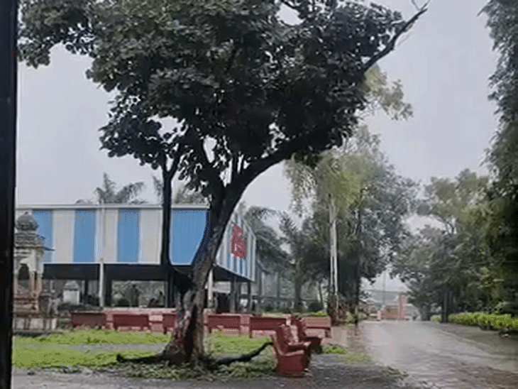 
                 रतलाम में 24 घंटे में 40MM बारिश, मौसम हुआ ठंडा:जिले में 16 इंच बारिश, पिछले साल से 6.42 इंच कम; रतलाम शहर 23 इंच पार 
            