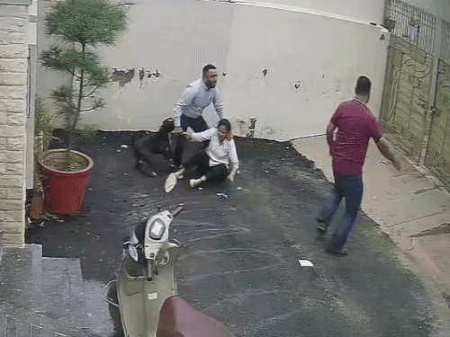 
                 पटियाला में पिटबुल डॉग के हमले का VIDEO:मकान देखने आए दंपती पर झपटा; महिला की बाजू, जांघ, कूल्हा चबाया; पति की पीठ नोची 
            