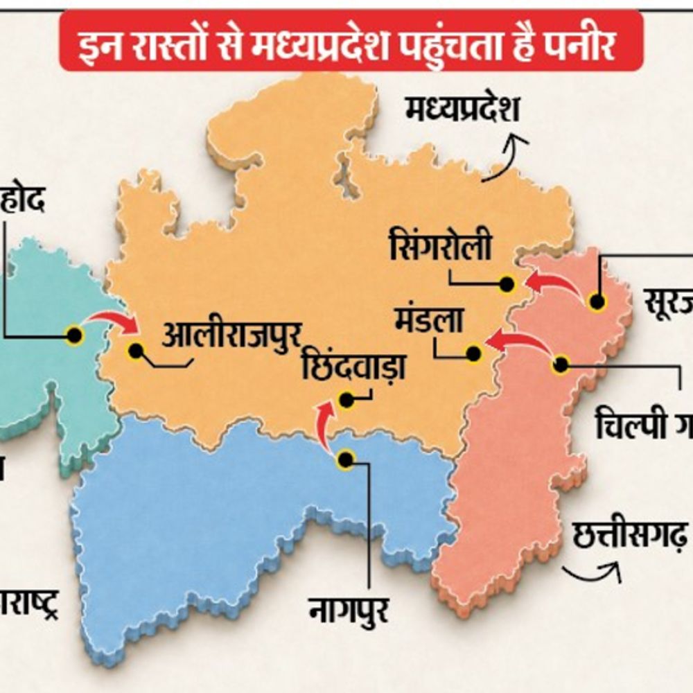 
                 अब मप्र में डंप हो रहा:गुजरात-महाराष्ट्र-छग में एनालॉग पनीर बैन 
            
