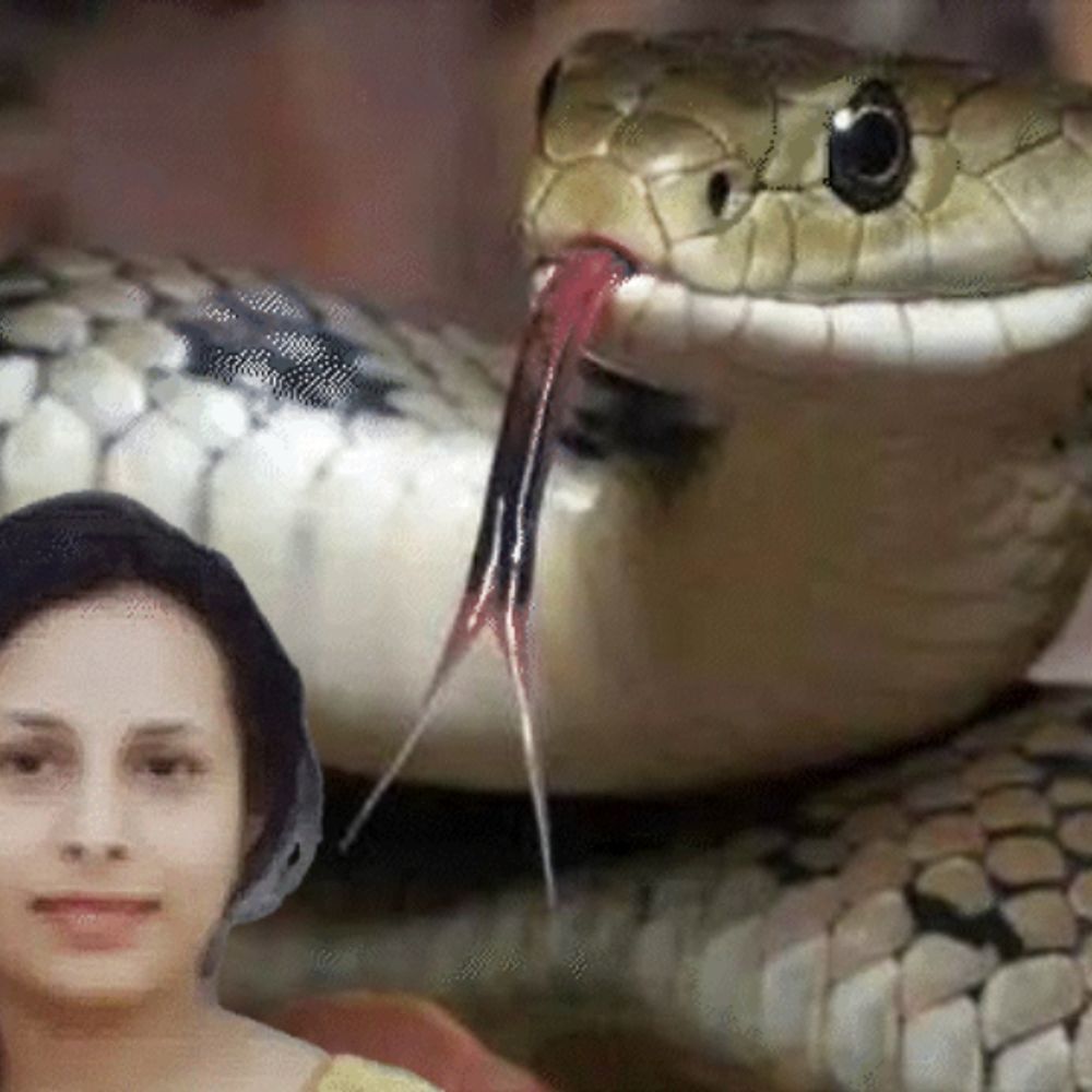 EOW कर सकती है फर्जी सर्पदंश मुआवजा घोटाले की जांच:DGP बोले- आर्थिक अपराधों की जांच के लिए एक्सपर्ट टीम ने जांच का प्रस्ताव भेजा