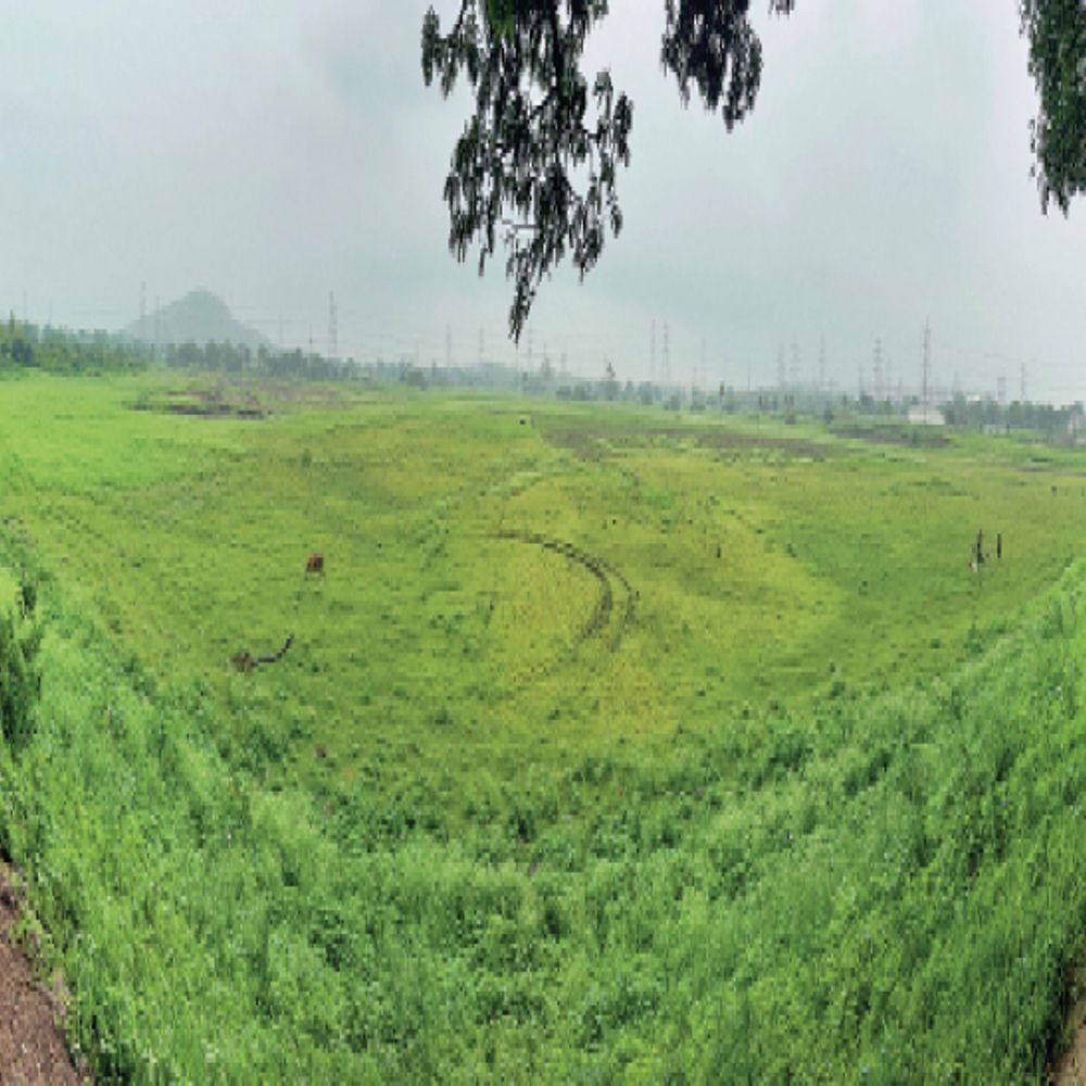 
                 एक तिहाई बिलावली अतिक्रमण की भेंट चढ़ चुका:यह कैसा जल संवर्धन... 40% चैनल पर कब्जे, असरावद और बिलावली तालाब अब भी सूखे 
            