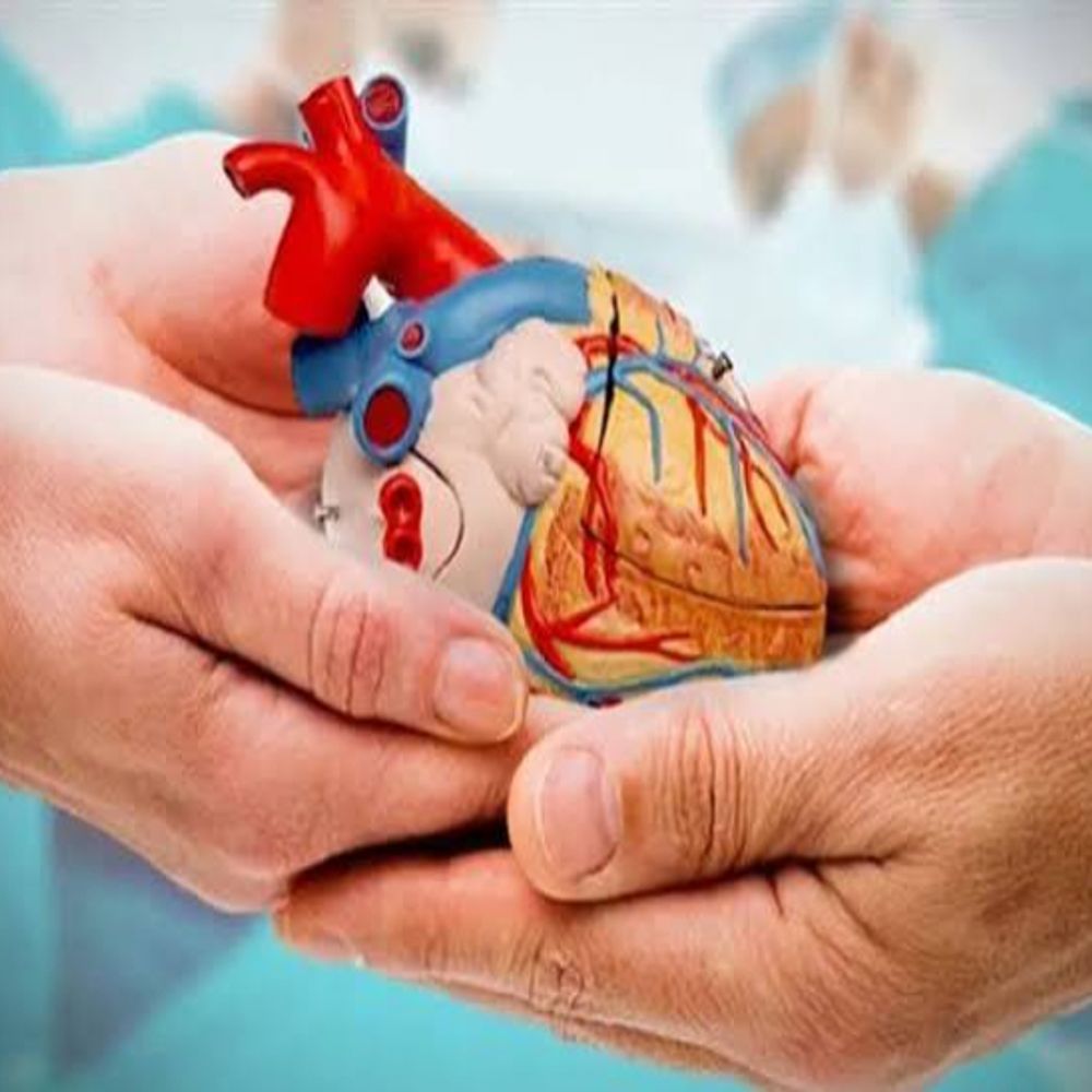 
                 अंगदान ने बदला जीवन:किसी ने डायलिसिस के बीच कारोबार खड़ा किया, कोई 26 साल पहले मिले अंग के सहारे सामान्य जिंदगी जी रहा 
            