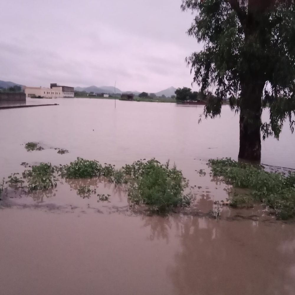 सिंगरौली में रातभर बारिश से जलभराव, पुलिया टूटी:निचली बस्तियों में घरों में घुसा पानी; प्रशासन और SDRF ने लोगों को सुरक्षित निकाला
