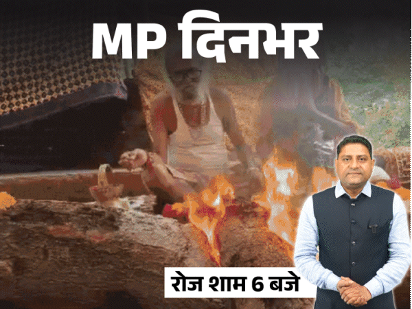 MP दिनभर, 10 बड़ी खबरें:बिजलीकर्मी को पीटा, कुत्तों से कटवाया; IAS नेहा के खिलाफ पेन डाउन; पीपल के पेड़ पर 23 घंटे तपस्या