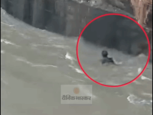 बांगो डैम के खुले गेट में युवक ने लगाई छलांग,VIDEO:कोरबा में दोस्तों संग गया था घूमने, तेज बहाव में बहा; नगर-सेना तलाश में जुटी