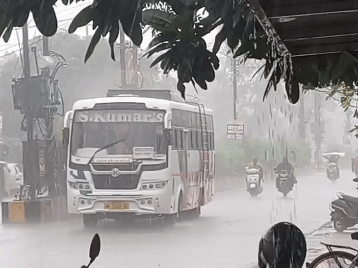 
                 MP के 18 जिलों में हैवी रेन की चेतावनी:जबलपुर, रीवा-शहडोल संभाग में स्ट्रॉन्ग सिस्टम; अगले 3 दिन अलर्ट 
            