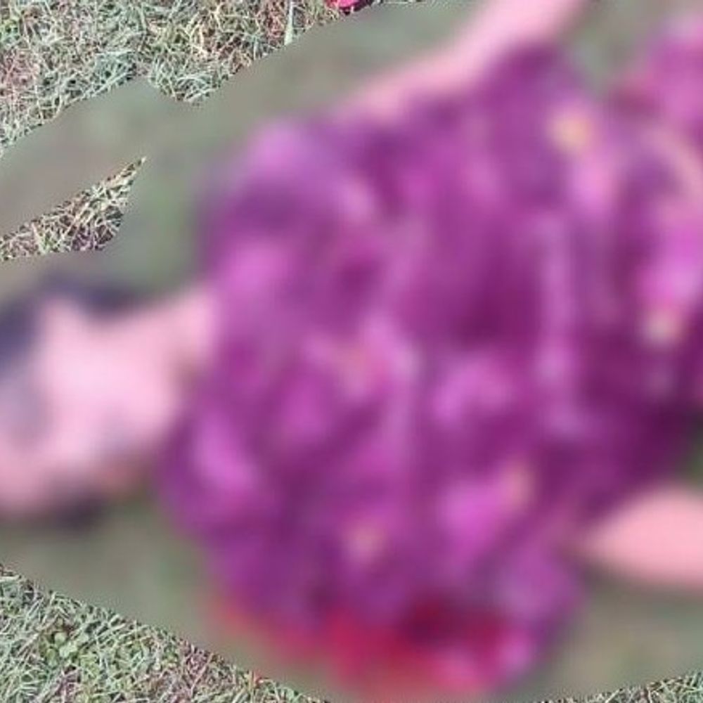हरदोई में तालाब में डूबने से विवाहिता की मौत:पैर फिसलने से गहरे पानी में डूबी, बेटी को घूमाने निकली थी