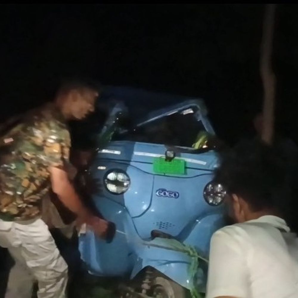 बाजपट्टी में अनियंत्रित ई-रिक्शा गड्डे में पलटी:4 घायल, एक की हालत गंभीर; चालक के शराब के नशे में होने से हादसा