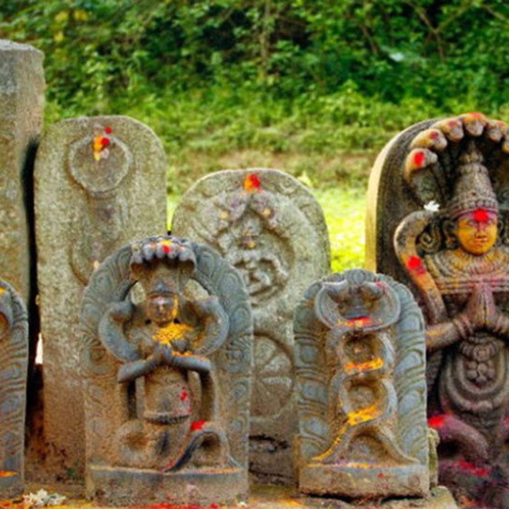 नाग पंचमी आज:जीवित सांप को दूध पिलाने से बचें, नाग देव की प्रतिमा की पूजा करें, जानिए पूजा विधि और नाग पंचमी की कथा
