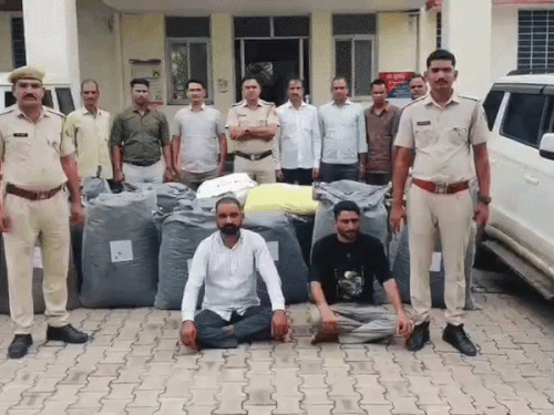 कोटा में 278 किलो डोडा चूरा पकड़ा, दो तस्कर गिरफ्तार:बाइक चोरी कर पार्ट्स खोलकर बेचता था गिरोह, कबाड़ी सहित बदमाश पकड़े