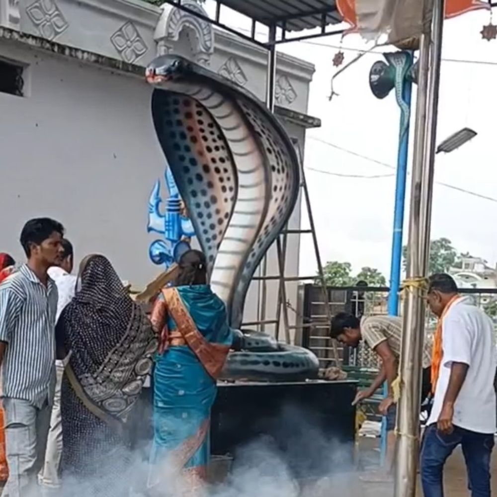 नागपंचमी पर शिवालयों में गूंजे मंत्र:पहले किया शिव का जलाभिषेक, फिर नागदेवता के पूजन को उमड़े श्रद्धालु