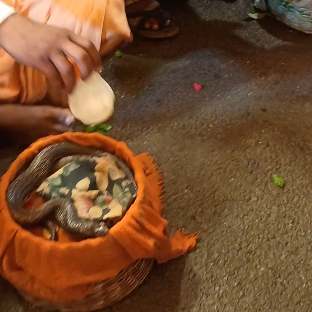 खेरेपति मंदिर में नागपंचमी पर्व, हजारों श्रद्धालु पहुंचे:पारंपरिक मेले में नाग देवता के दर्शन, दूध अर्पित कर मांगी सुख-समृद्धि