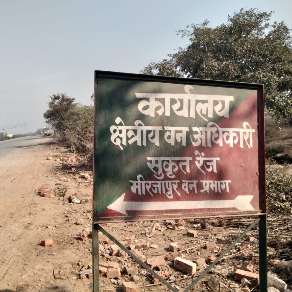 मिर्जापुर के खीरी जंगल में वन भूमि पर अतिक्रमण:60-70 हेक्टेयर जमीन पर कब्जे की शिकायत, DFO बोले- टीम बनाकर कराएंगे जांच