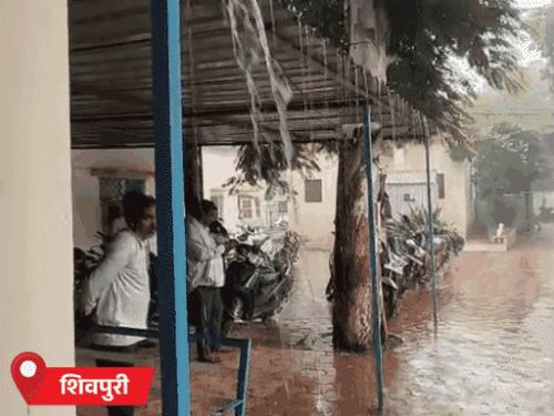 
                 टीकमगढ़, पन्ना-नरसिंहपुर में 8 इंच बारिश का अलर्ट:जबलपुर समेत MP के 12 जिलों में आज हैवी रेन; पूर्वी हिस्से में सिस्टम एक्टिव 
            
