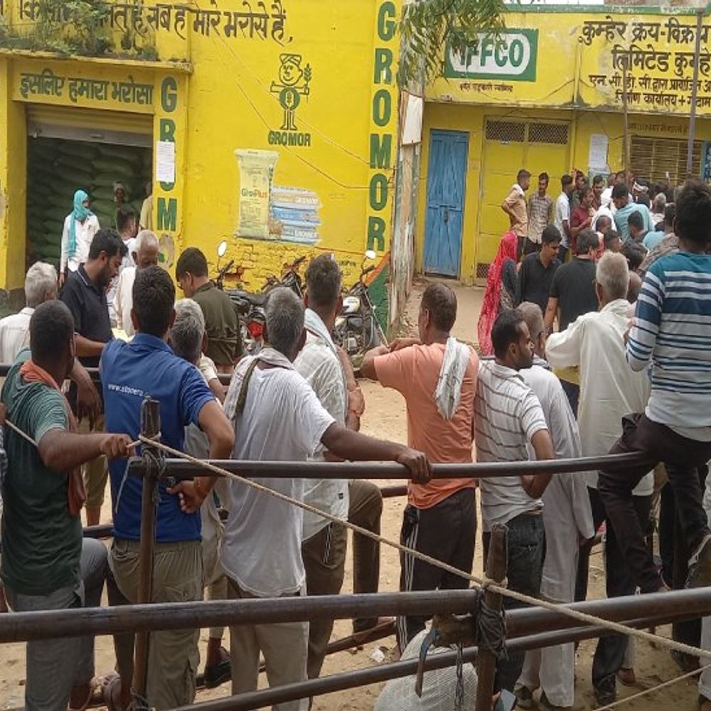 घंटों लग रही लाइन फिर भी यूरिया नहीं:कालाबाजारी...गोदामों में 3 लाख मी. टन खाद; किसान खाली हाथ, फसलें खराब