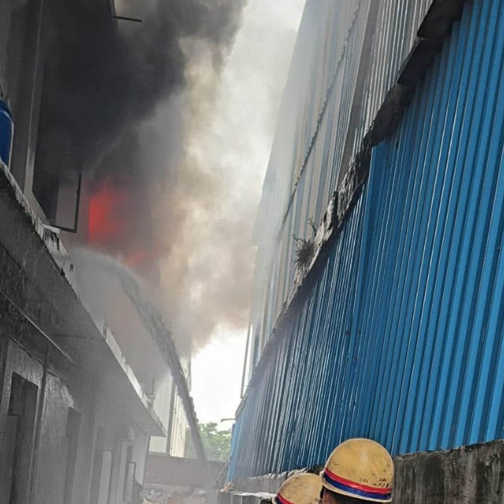 ग्रेटर नोएडा में वुडन डाई कंपनी में आग:दमकल की 10 गाड़ियों ने 3 घंटे में पाया काबू