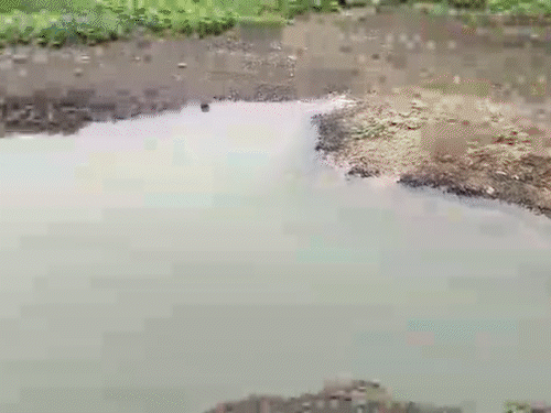 पानी से भरे गड्‌ढे में डूबे 3 बच्चे, मौत:नहाने के लिए उतरे थे, इनमें दो सगे भाई; जिम्मेदारों को खोज रही पुलिस