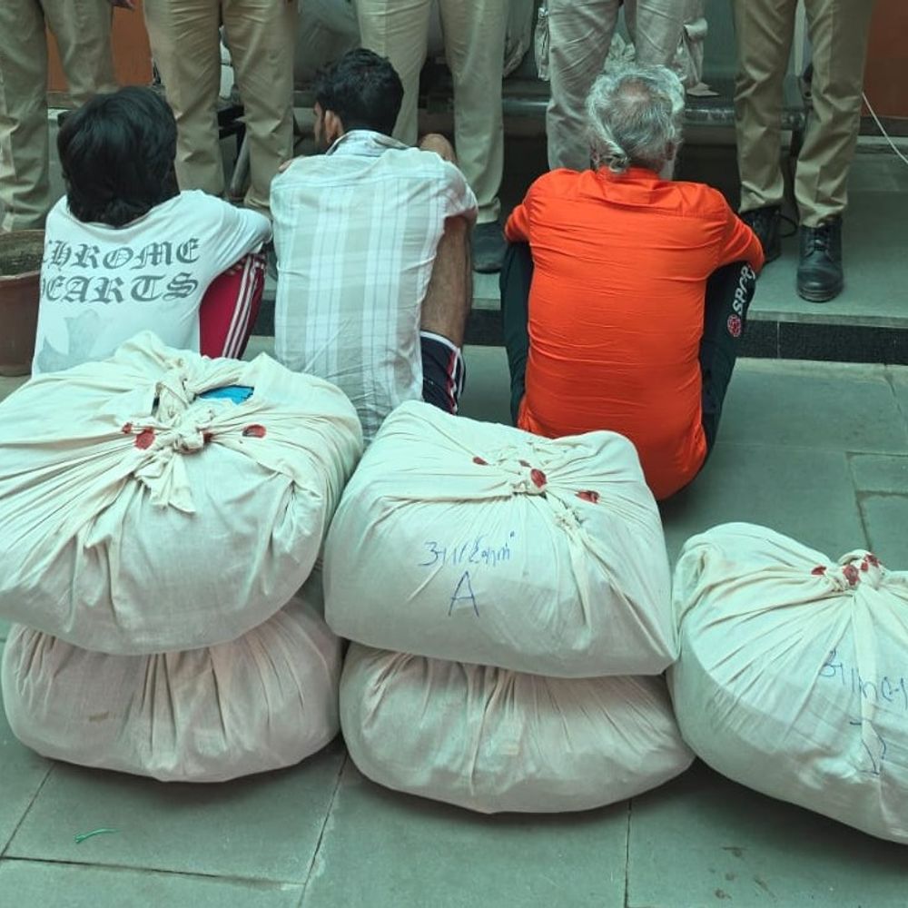 
                 पुलिस ने 48 घंटे में 5 तस्कर पकड़े:117 किलो डोडाचूरा जब्त, ₹3.94 लाख का माल बरामद 
            