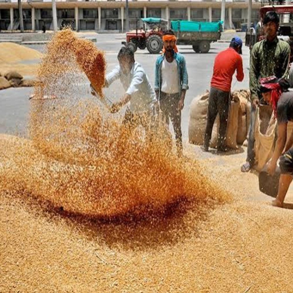 
                 मप्र में 3 करोड़ से ज्यादा कमाई वाली 110 मंडियां:दस साल बाद मंडियों की ग्रेडिंग, इनमें बिकने आता है लाखों टन से अधिक अनाज 
            