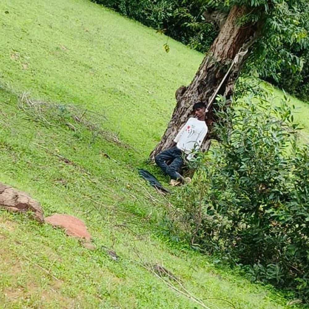 सिंगरौली में युवक ने जंगल में फांसी लगाई:घर से 500 मीटर दूर मिला शव, मौत की वजह अज्ञात