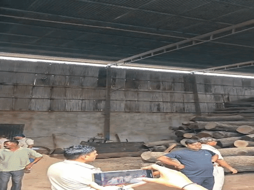 
                 टिम्बर मार्केट में राज्य स्तरीय उड़न दस्ते की दबिश:लकड़ी के एक वाहन में टीपी नहीं, दूसरे की फर्जी निकली; आरा मशीन सील 
            